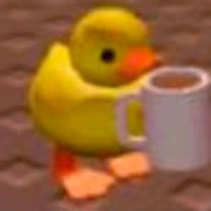 Meet your Posher, Lia